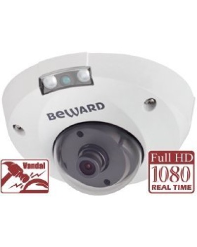 NK55630D8. IP-камера купольная. Beward в Омске