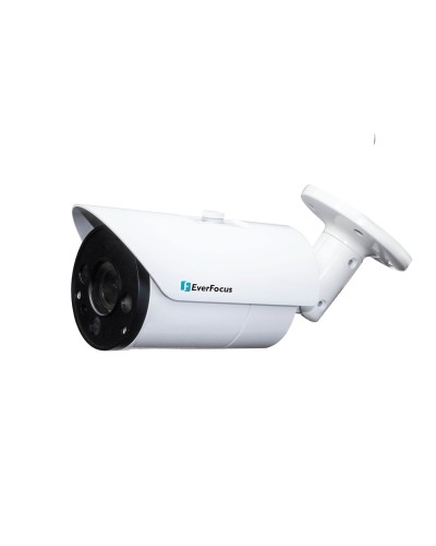 EZN-268V. Видеокамера IP купольная. EverFocus в Омске