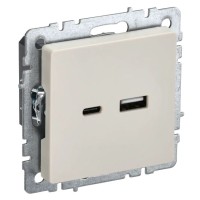 Розетка USB A+C 18Вт РЮ11-1-БрКр бежевый BRITE (BR-U22-018-K10). Розетка USB. IEK