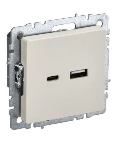 Розетка USB A+C 18Вт РЮ11-1-БрКр бежевый BRITE (BR-U22-018-K10). Розетка USB. IEK в Омске