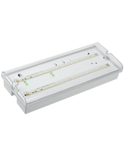 Светильник аварийный ДПА 5042-3 3ч IP65 LIGHTING (LDPA0-5042-3-65-K01). Светильник аварийный универсальный. IEK в Омске