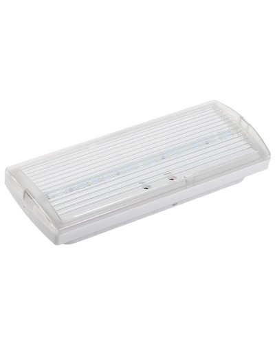 Светильник аварийный ДПА 5030-3 3ч IP20 LIGHTING (LDPA0-5030-3H-K01). Светильник аварийный постоянного действия. IEK в Омске
