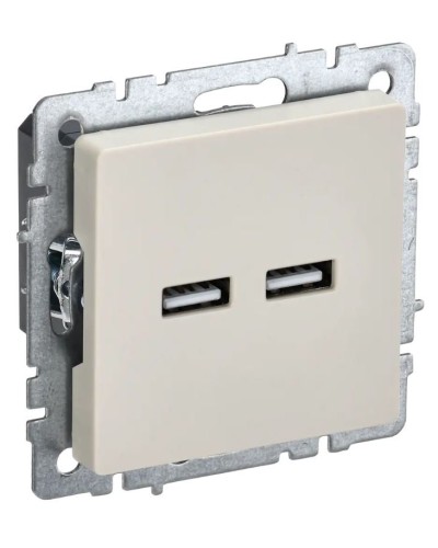 Розетка USB A+A 3,1А РЮ10-1-БрКр бежевый BRITE (BR-U21-D31-K10). Розетка USB. IEK в Омске