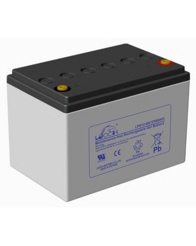 LEOCH LPG 12-60. Аккумулятор герметичный свинцово-кислотный. LEOCH в Омске