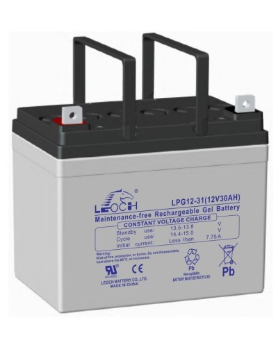 LEOCH LPG 12-31. Аккумулятор герметичный свинцово-кислотный. LEOCH в Омске