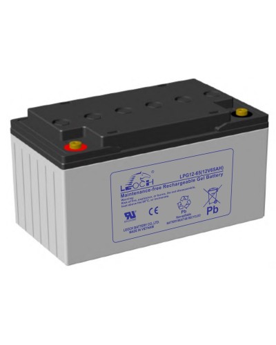 LEOCH LPG 12-65. Аккумулятор герметичный свинцово-кислотный. LEOCH в Омске