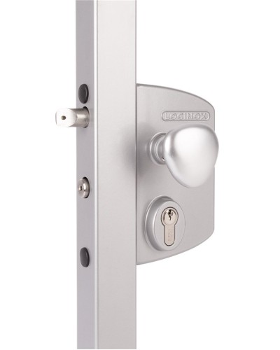 LIKQ4040 U2L (цвет: RAL 9005, черный). Замок электромеханический для калиток. Locinox в Омске