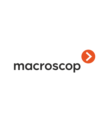 Расширение с LS до ST. Программное обеспечение (опция). MACROSCOP в Омске
