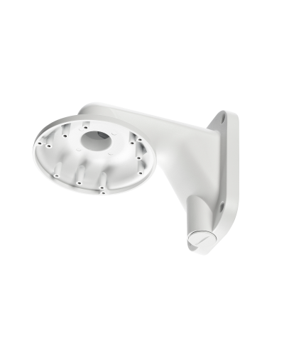 RVi-1BWM-5 white. Кронштейн настенный. RVi в Омске