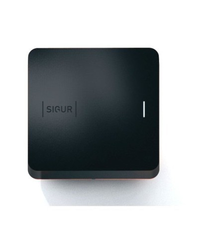Sigur MR100 Multi. Считыватель. SIGUR в Омске
