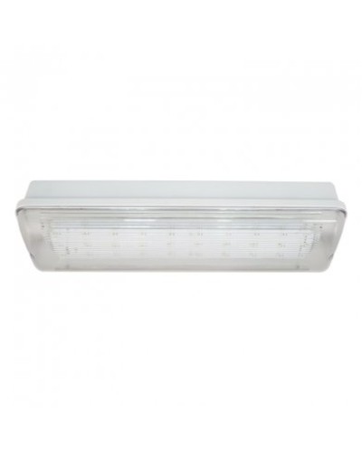 SL-223-30LED1.8 исп. 1, IP65. Светильник аварийного освещения. ИП Раченков А.В. в Омске