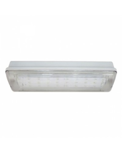 SL-213-30LED1.8 исп. 1 IP65. Светильник аварийного освещения. ИП Раченков А.В. в Омске