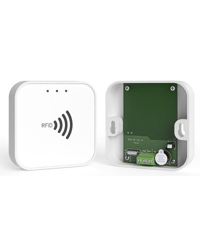 RFID-TM. Считыватель RFID. Ритм в Омске
